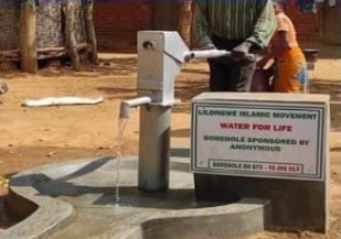 Borehole Pump System